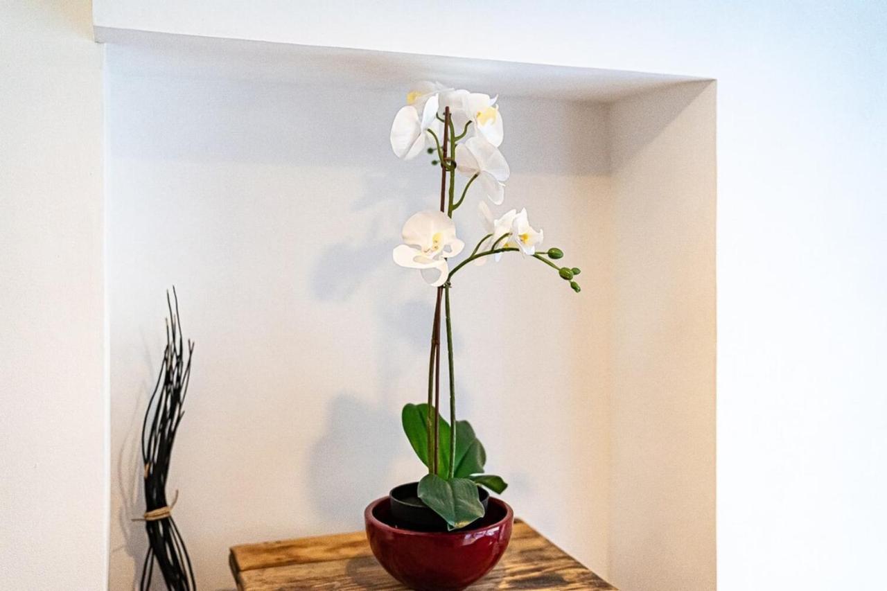 The Little Crequi - Unique Apartment 2 People - Foch 里昂 外观 照片